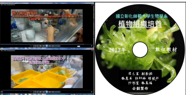 Fig. 2  由臺灣本土所選殖出增益作物生長酵母菌獲選為 Plant Signalling &amp; Behavior (2015)期刊 9 月分當 期封面  (A)。本研究室與「酵母菌演化生態研究室」周睿鈺副教授  (本計畫之共同主持人)共同合作，已 經建立增益作物生長與免疫之土壤益生菌選殖實驗系統(B)，也已發表相關論文  (Sun et al., 2014; Fu et al.,  2015; Fu et al., 2016; Fu et al., 2017)。 