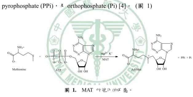 圖 1.    MAT  所催化的反應。 