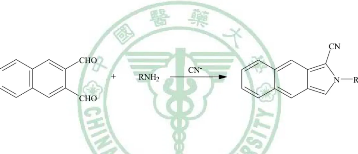 圖 6.    AdoMet  之 isoindole 類螢光化合物形成原理。1998 年 Capdevila 以 naphthalenedialdehyde  及 cyanide 於 pH 9.0 反應 10 分鐘進行衍生。 