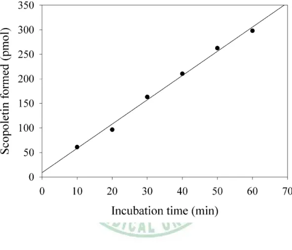 圖 10.    Time-course of scopoletin formation. (R 2  = 0.9933). 