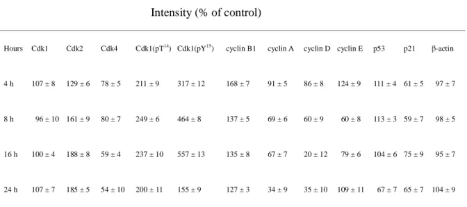 Table 4.    Densitometric analysis of the Western blot results of cell cycle-related proteins 