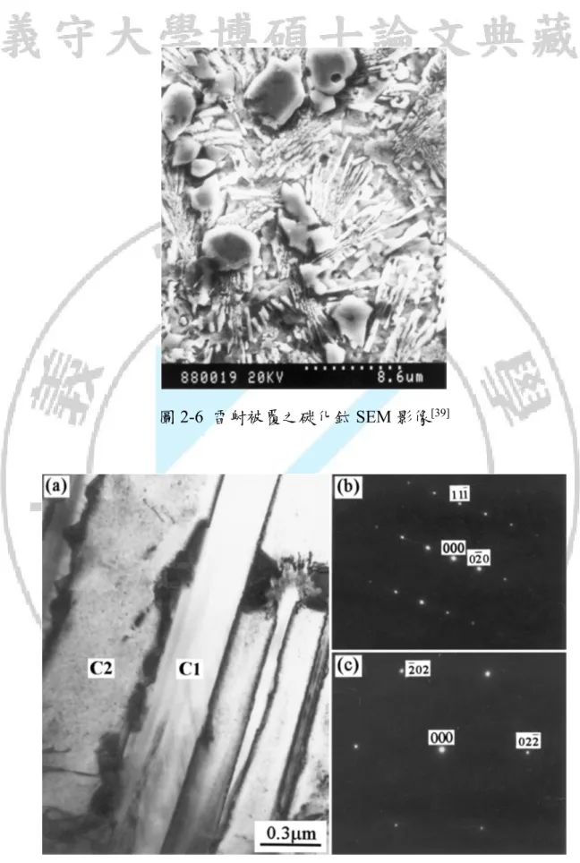 圖 2-6  雷射被覆之碳化鈦 SEM 影像 [39]