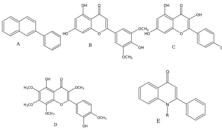Fig. 1  Tricyclic chemical structural pattern 