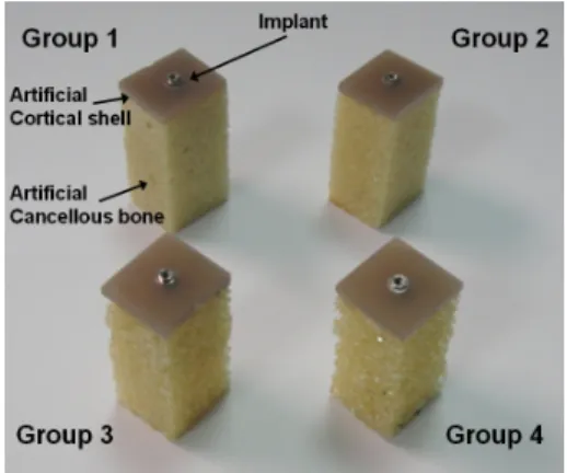 Figure 2. Setup for measuring the peak ITV of the  implants using a digital torque meter
