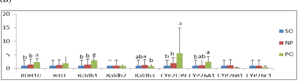 圖 6 母鼠懷孕期間攝取炸油區分物於 d18 對母親(A)及胚胎(B)肝臟維生素 A 代 謝相關基因表現影響    Labeled means without a common letter differ, P&lt;0.05.