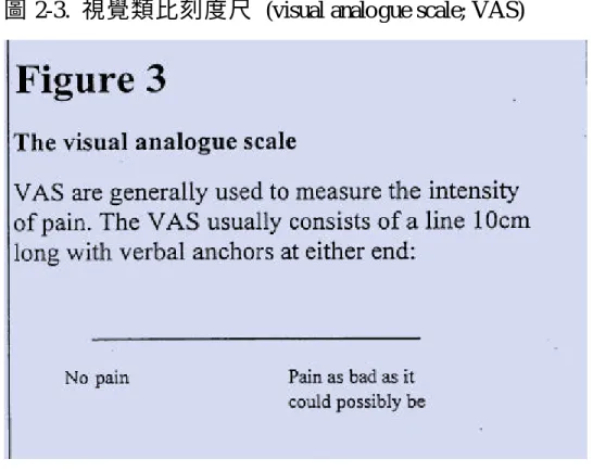 圖 2-3.  視覺類比刻度尺 (visual analogue scale; VAS) 