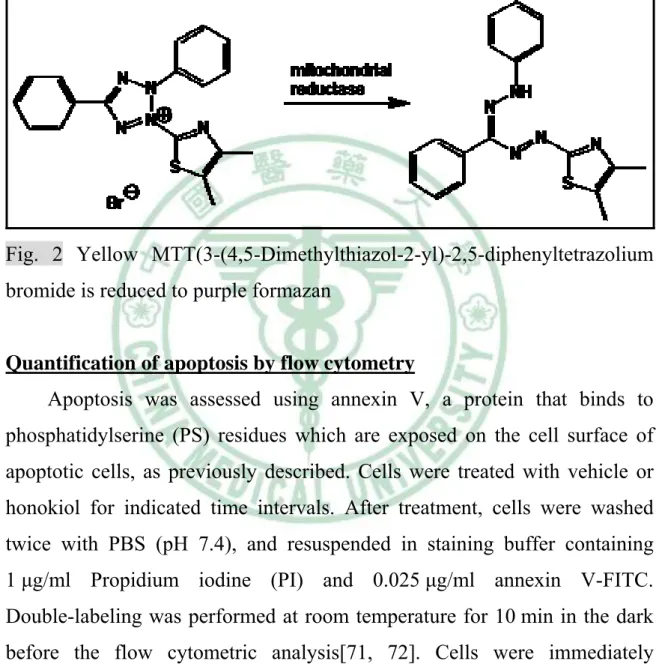 Fig. 2 Yellow MTT(3-(4,5-Dimethylthiazol-2-yl)-2,5-diphenyltetrazolium  bromide is reduced to purple formazan 
