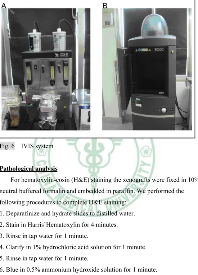Fig. 6  IVIS system  