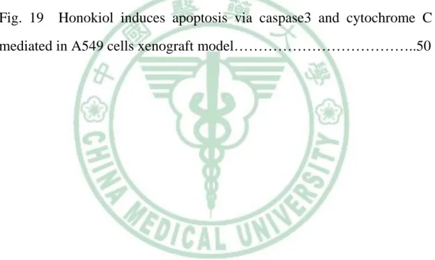Fig. 15    The weights of the implanted tumor were significantly reduced  in HK group and EA+HK group………………………………………..46  Fig