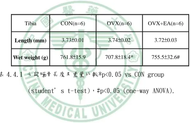表 4.4.1 大鼠脛骨長度及重量比較*p<0.05 vs CON group  (student＇s t-test)，#p<0.05 (one-way ANOVA)