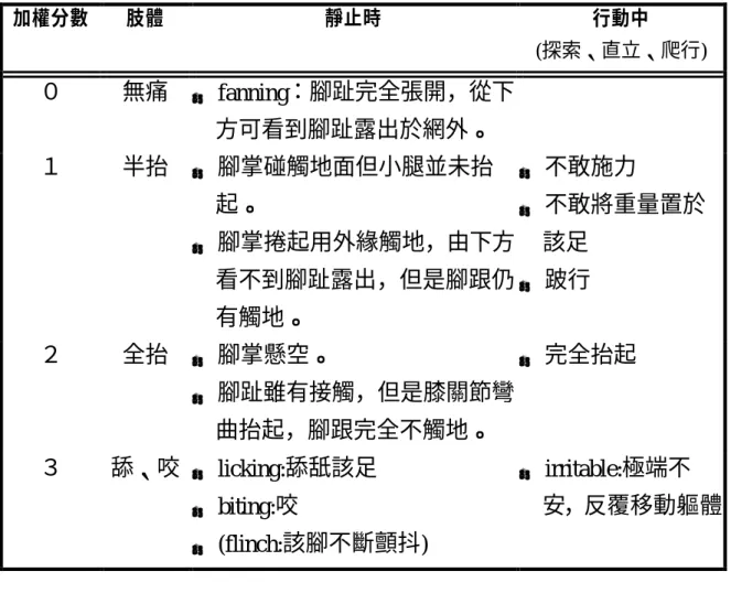 表  3.2  福馬林疼痛行為加權評分法  加權分數  肢體  靜止時  行動中  (探索、直立、爬行)  ０  無痛  →  fanning：腳趾完全張開，從下 方可看到腳趾露出於網外。  １  半抬  →   腳掌碰觸地面但小腿並未抬 起。  →   腳掌捲起用外緣觸地，由下方 看不到腳趾露出，但是腳跟仍 有觸地。  →   不敢施力 →   不敢將重量置於該足 →  跛行  ２  全抬  →   腳掌懸空。  →   腳趾雖有接觸，但是膝關節彎 曲抬起，腳跟完全不觸地。  →   完全抬起  ３  舔