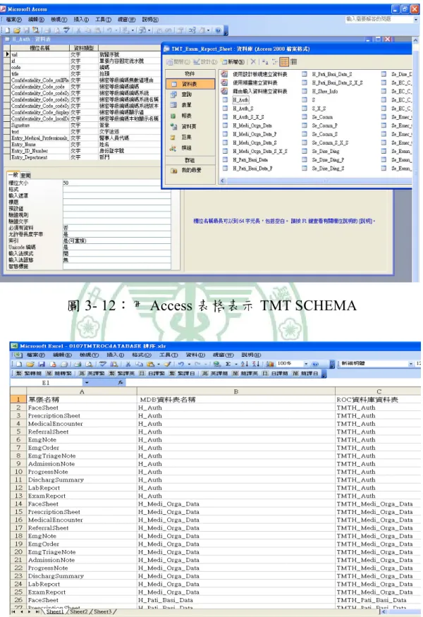圖 3- 12：用 Access 表格表示 TMT SCHEMA 