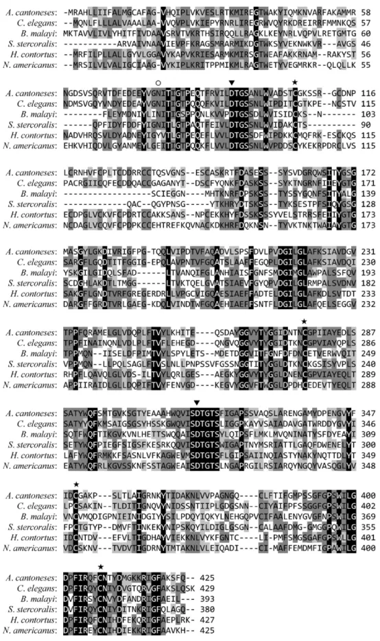 Fig. 2. Multiple amino acid sequence alignment of the putative aspartic protease from Angiostrongylus cantonensis with homologues from other nematodes: Caenorhabditis elegans aspartyl protease family member (asp-2) (GenBank accession no