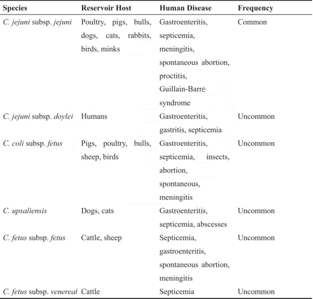 Table 1. The species of Campylobacter and the related diseases. 