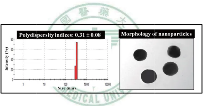 Figure 2. The polydispersity index (left panel) and transmission electron  microscopy examination (right panel) of CdtB-loaded chitosan/heparin  nanoparticles