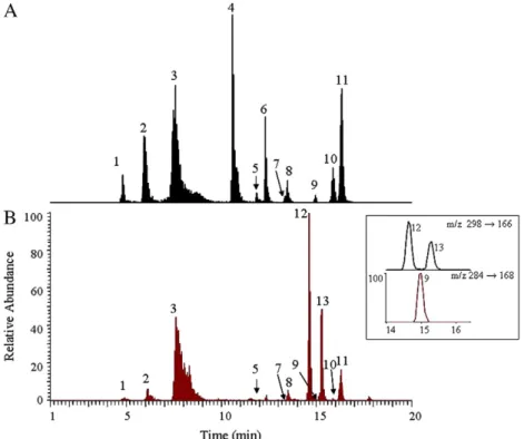 Fig. 2. HPLC-MS/MS chromatograms of (A) nucleoside standards and (B) urinary nucleosides in a breast cancer patient