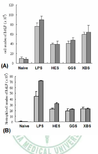 Figure 4.7. The tatol cell counts and neutrophil number in the BALF. 