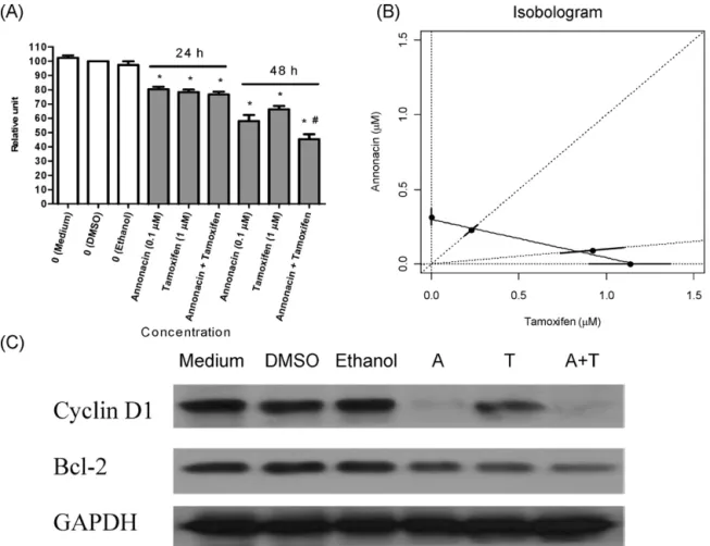 Fig. 3. Combination effects of annonacin and 4-hydroxytamoxifen on cell survival and cyclin D1 and Bcl-2 protein expression in MCF-7 cells