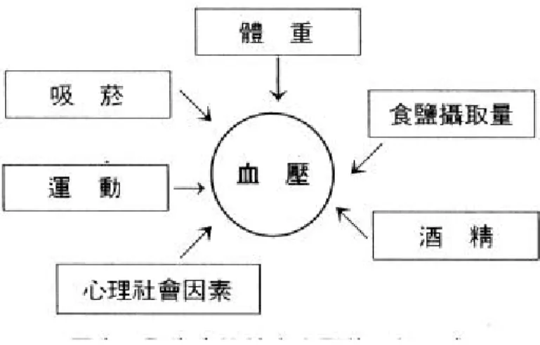圖 1-1 影響本態性高血壓的可能因素  資料來源：行政院衛生署 高血壓防治手冊，1996：p40﹒  表 1-2 民 國 91 年 十 大 死 因   順位   死  亡  原  因   每十萬人口死 亡數   占死亡總人數之百分比   1   惡性腫瘤   152.88   27.05   2   腦血管疾病    53.46   9.46   3   心臟疾病    50.93   9.01   4   糖尿病    39.26   6.95   5   事故傷害    37.79   6.69   