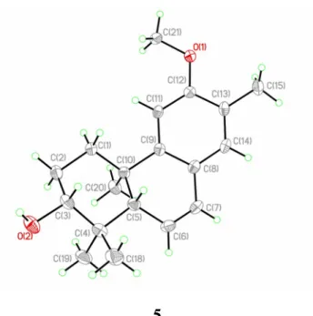 Figure 3. X-ray ORTEP drawing of compound 5.