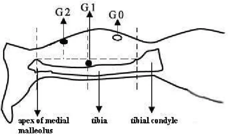 圖 3.1. “ Half-and-half method ”. G1: active electrode, G2: reference  electrode, G0: ground electrode