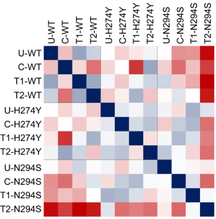 Figure  8.  Protein  RMSF correlation  analysis, correlation  between  each  complex  are  calculated  and demonstrated  in  red  (R2<0.5),  white