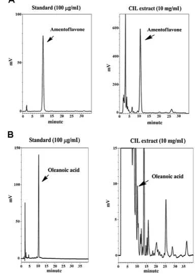 Figure 6. Representative hPLC chromatogram of the marked compounds in  CIL extract. (A) hPLC chromatogram of amentoflavone standard (left, 100  µg/