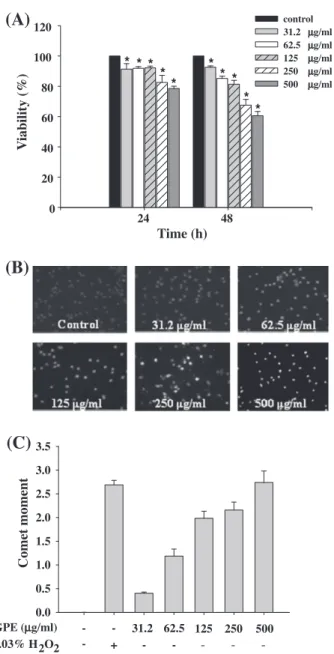 Fig. 2 – Effect of GPE on Hep G2 cells survival determined by MTT assay (A), apoptosis examined by DAPI staining (B) and comet assay (C)