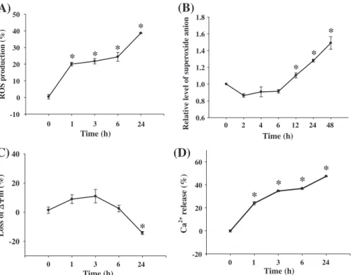 Fig. 4 – The expression of Bcl-2, cytochrome c and AIF (A), caspase-3 and caspase-9 (B), and Fas, FasL and caspase-8 (C) in Hep G2 cells treated with GPE (500 lg/ml)