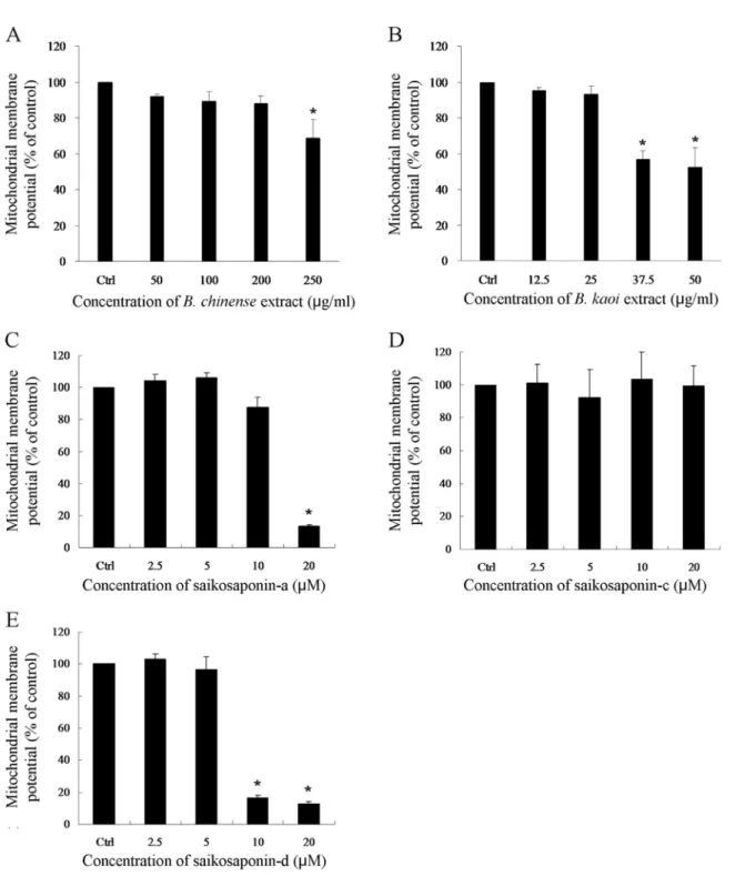 Fig. 3. (A, B) Reduction of mitochondrial membrane potential in A375.S2 melanoma cells by ethanolic extracts from  Bupleurum chinense  (A) and  Bupleurum kaoi  (B)