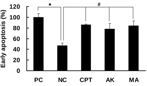 Figure 3. Detection of early apoptosis of HEp-2 cells treated with AK and MA by  ssDNA ELISA kit