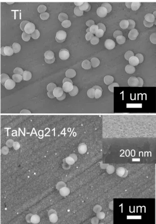 Fig. 6. SEM micrographs of S. aureus incubated on the uncoated Ti surface (top) and TaN-Ag21.4% coatings