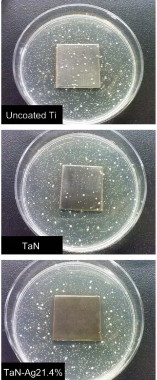 Fig. 7. The result of bacterial viability test on the uncoated, TaN and TaN-Ag21.4% coated Ti sample plates