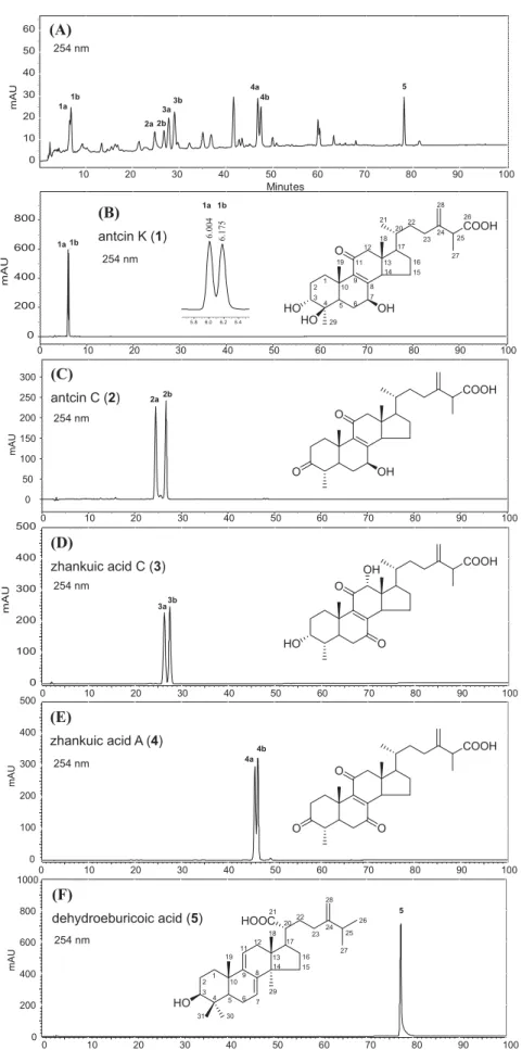 Fig. 2. HPLC chromatogram of the ethyl acetate fraction (FEA, an active triterpenoid-rich fraction) from the ethanolic extract of wild AC