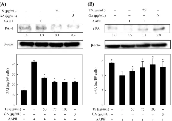 Fig. 8. Inhibitory effects of TS extracts and gallic acid on AAPH-induced PAI-1 (A) and t-PA (B) expression and secretion in ECs