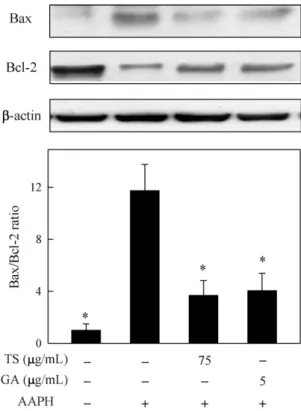 Fig. 4. Inhibitory effects of TS extracts and gallic acid on AAPH-induced SOD (A) and catalase (B) activity in ECs