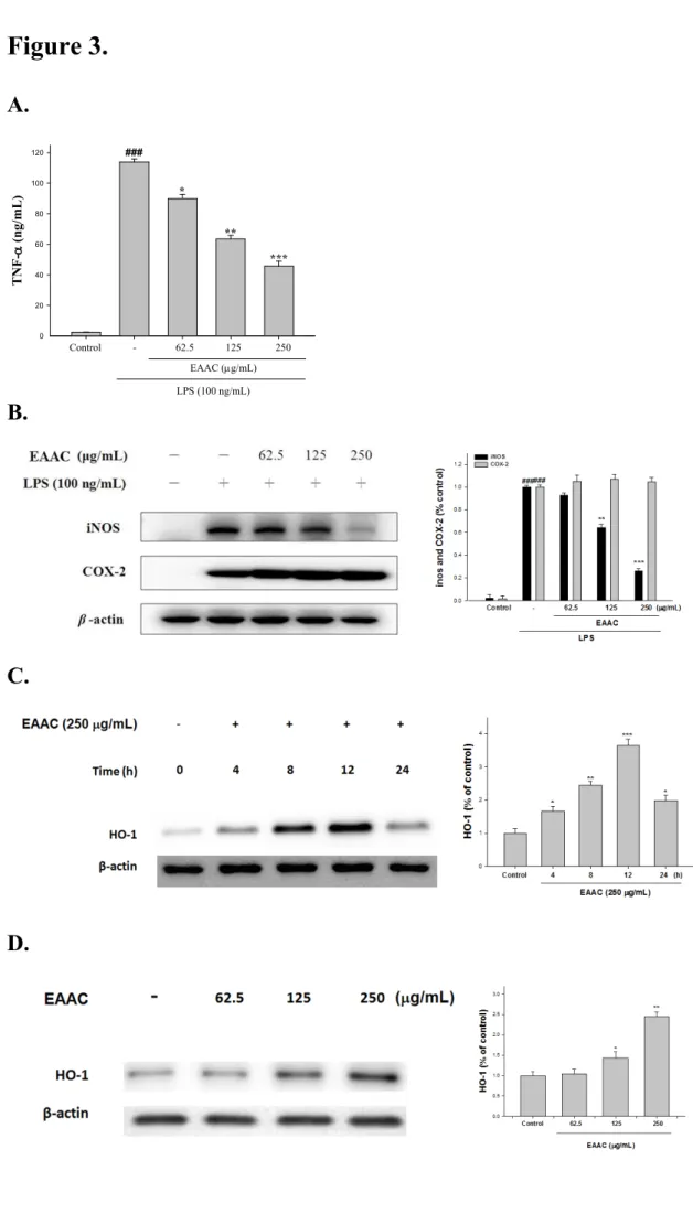Figure 3. A. TNF- (ng/mL) 020406080100120 Control            -               62.5            125             250 LPS (100 ng/mL) ****EAAC (g/mL)###** B