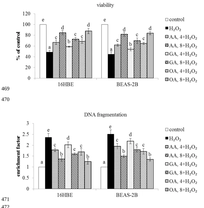 Figure 2. Effects of AA, GA and OA upon viability and DNA fragmentation determined as enrichment   factor   in  16HBE   and  BEAS-2B  cells