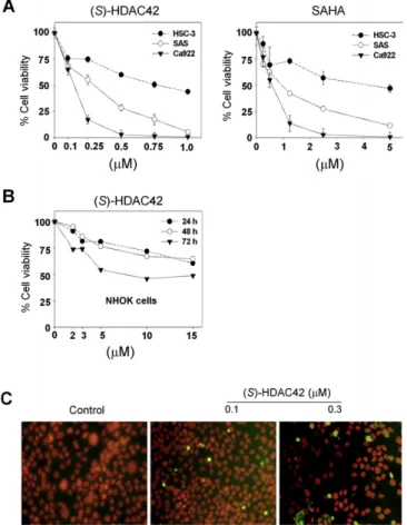 Figure 1 The cytotoxic effect of (S)-HDAC42 and suberoylanilide hydroxamic acid (SAHA) in oral cancer cells and normal human oral keratinocytes (NHOK).