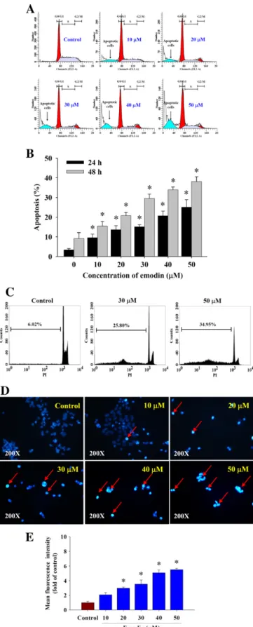 Fig. 2. Emodin changed the DNA content and induced apoptosis in LS1034 cells.