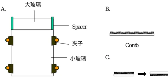 Figure 5.  電泳膠配置裝置示意圖 
