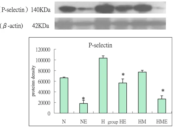 Fig 4:The effect of high  cholesterol  diet,  exerccise  training  and  Magnolia  officinalis extract treatment on protein expression of adhesion molecule  (P-selectin) of rabbits thoracic aortae for 8 weeks