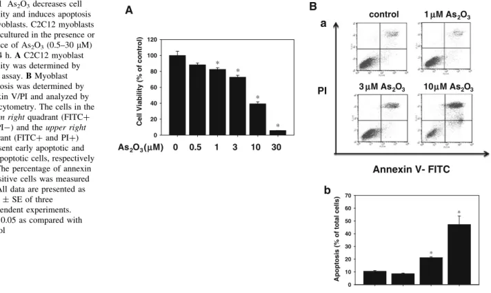 Fig. 1 As 2 O 3 decreases cell viability and induces apoptosis in myoblasts. C2C12 myoblasts were cultured in the presence or absence of As 2 O 3 (0.5–30 lM) for 24 h