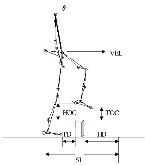圖 2.5  跨越障礙物步態特徵之相關資料  TD：toe distance，跨越後腳之腳尖到障礙物之水平距離。  HD：heel distance，跨越前腳跨越著地後腳跟與障礙物之水平距離。  SL：step length，跨越障礙物之步長。  HOC：heel-obstacle clearance，跨越前腳之腳跟至障礙物正上方時之 垂直高度。  TOC：toe-obstacle clearance，跨越前腳之腳尖至障礙物正上方時之垂 直高度。  VEL：velocity，跨越時速度。  SW：step 