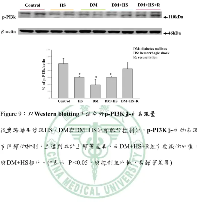 Figure 9：以Western blotting方法分析p-PI3K蛋白表現量