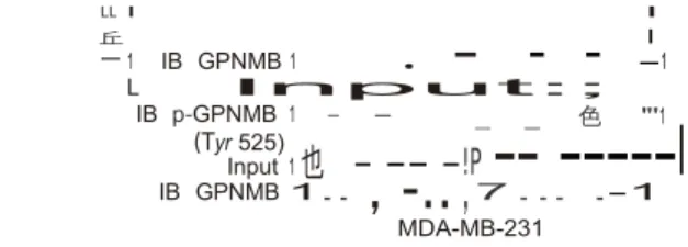 Figu 陀  2   Lf NK-A    is     involved     in     an     HB-EGF-triggered ，      EG FR:G PNMB
