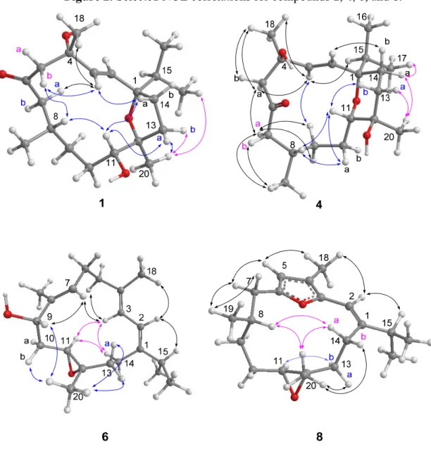 Figure 2. Selected NOE correlations for compounds 1, 4, 6, and 8. 