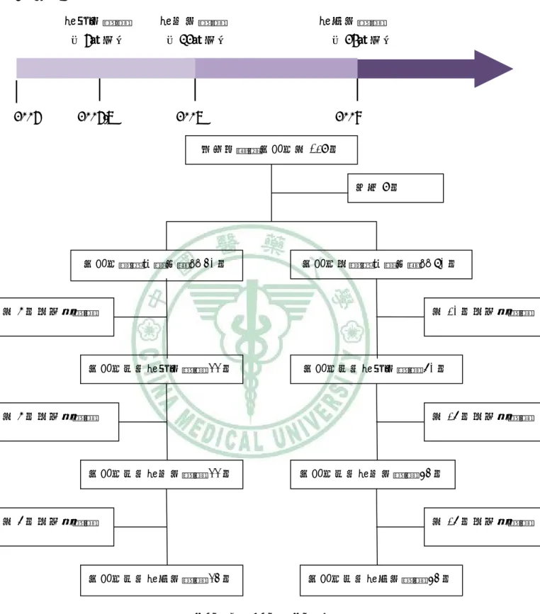圖  3-4-6 The Flowchart of Study(2006) 