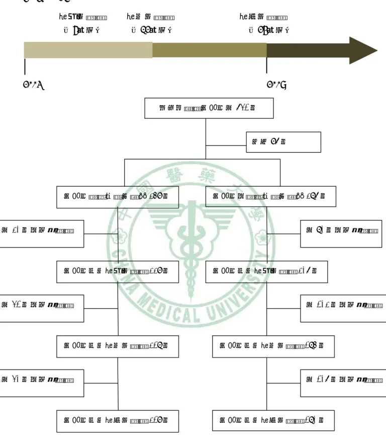 圖  3-4-8 The Flowchart of Study(2003-2007) 
