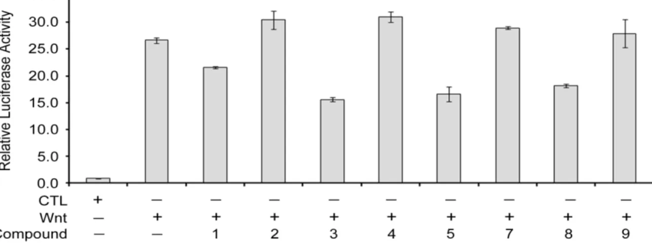 Figure  5.  The   effect   of   oleanane   triterpene  derivatives  on  -catenin/TCF-mediated luciferase activities in P19 cells
